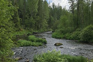aaa